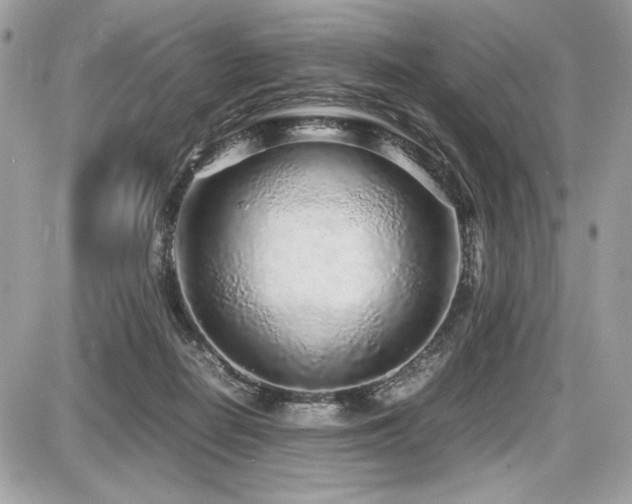 X0000087690266200705041045
