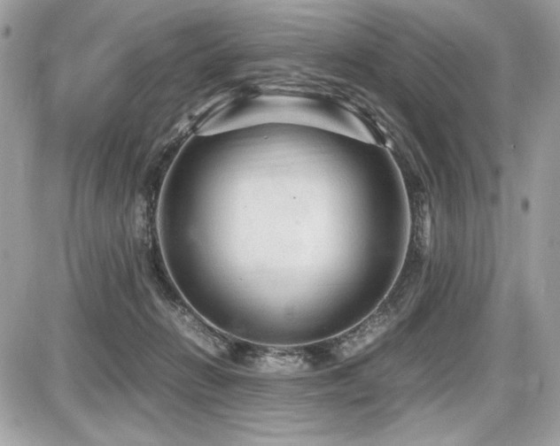 X0000087690270200705041045