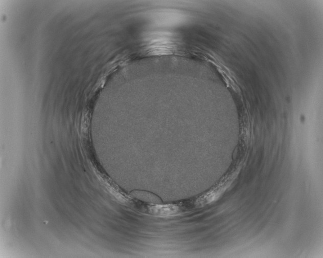 X0000087690277200705041045