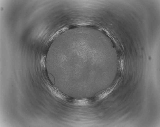 X0000087690286200705041045