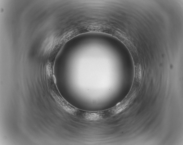 X0000087690287200705041045