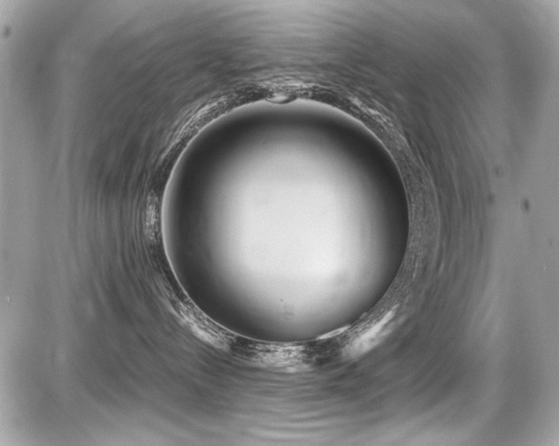 X0000087690288200705041045