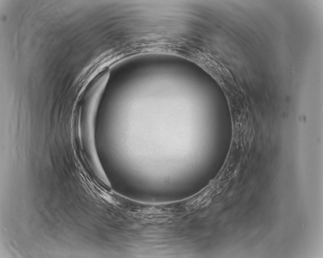 X0000087690290200705041045