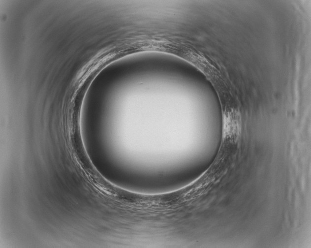 X0000087690291200705041045
