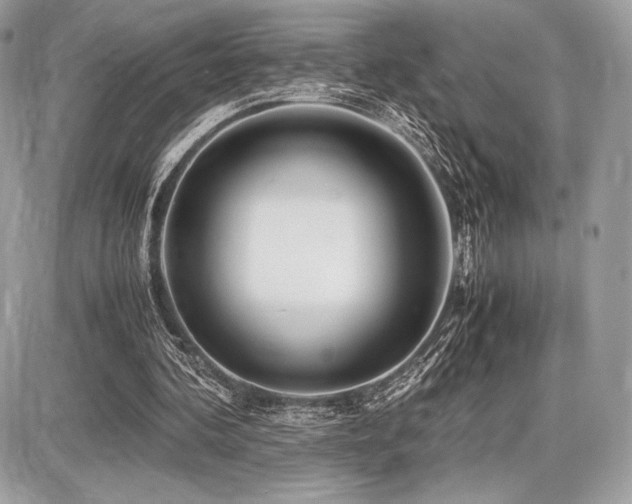 X0000087690292200705041045