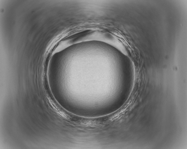 X0000087690293200705041045