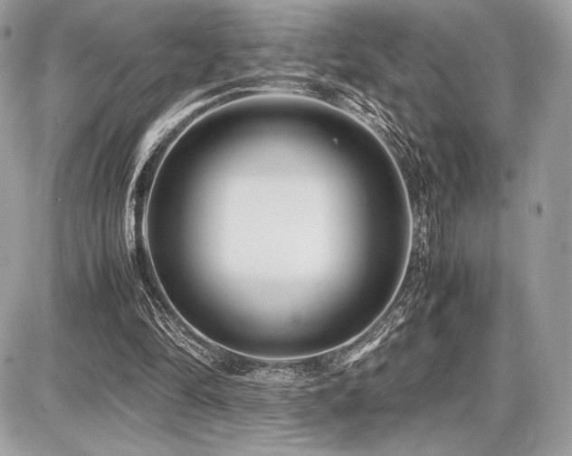 X0000087690294200705041045