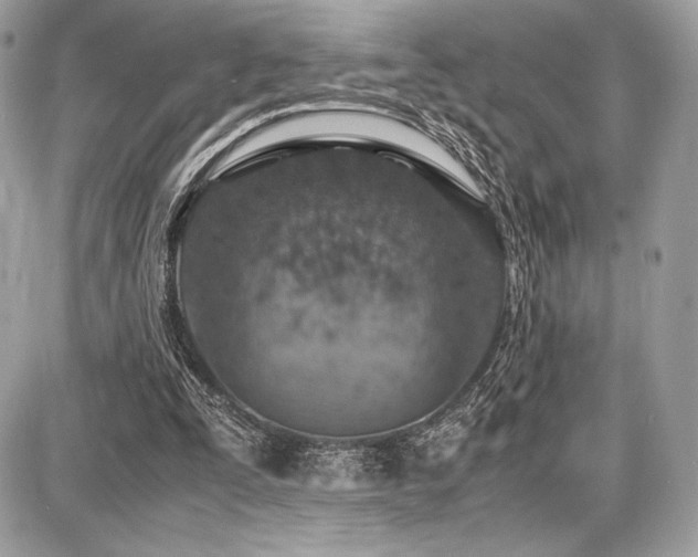 X0000087690295200705041045