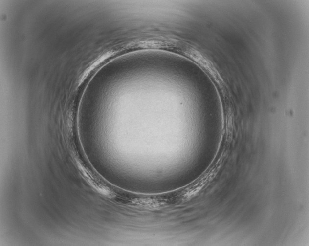 X0000087690297200705041045