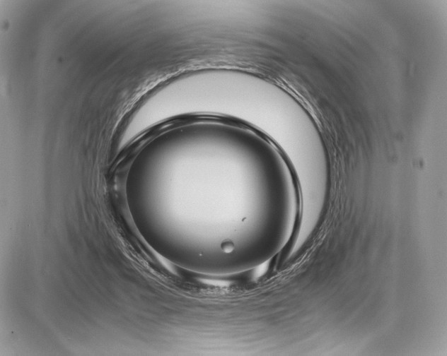 X0000087690301200705041044