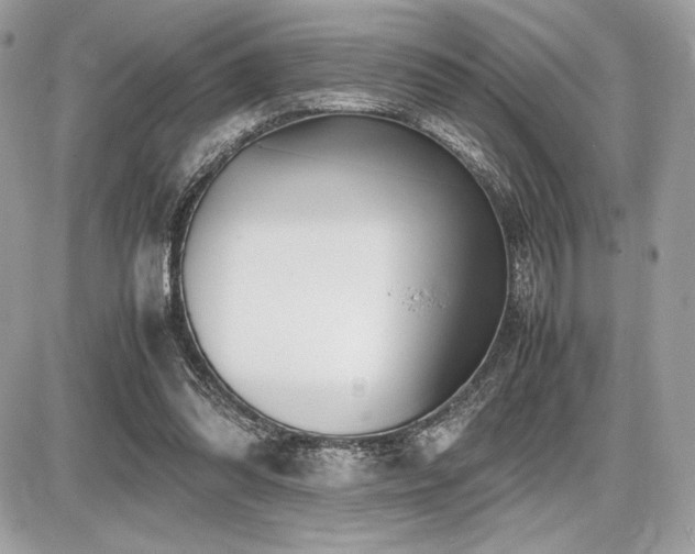 X0000087690302200705041044