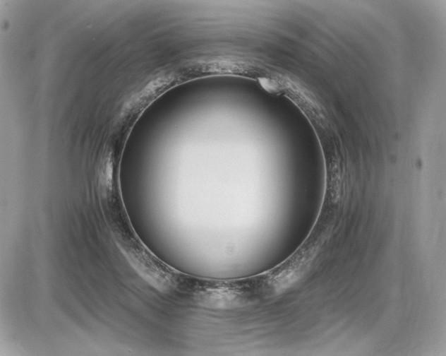 X0000087690310200705041044