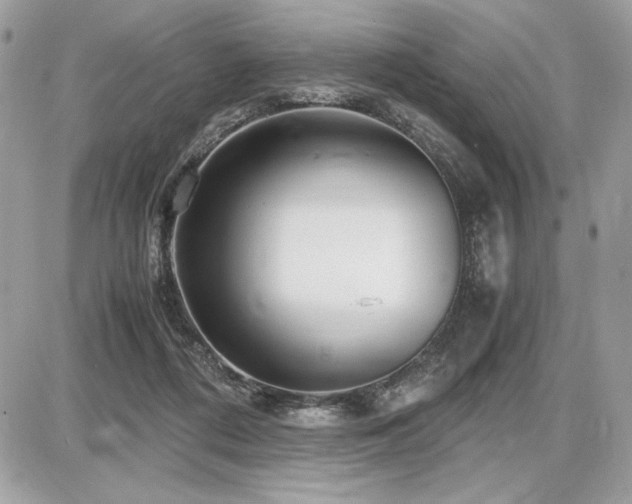 X0000087690312200705041044