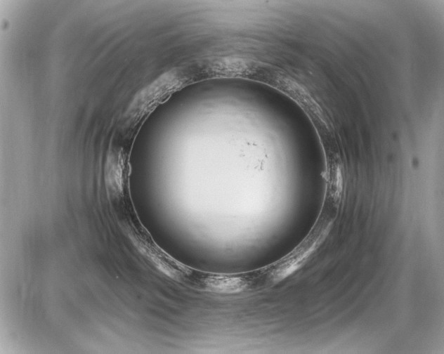 X0000087690334200705041044