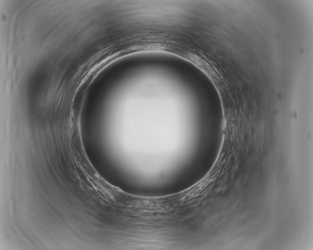 X0000087690338200705041043