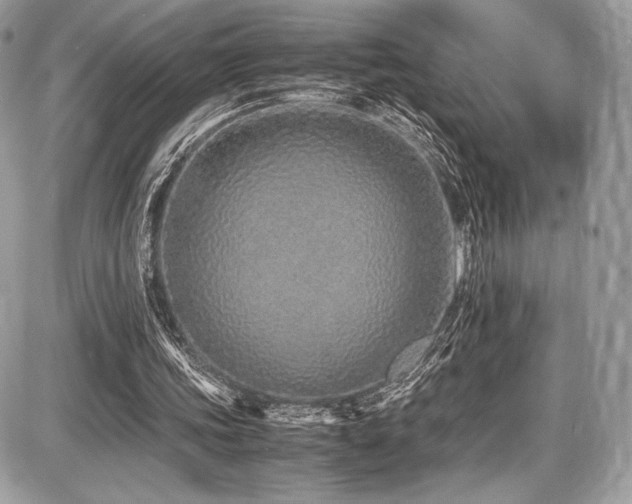 X0000087690339200705041043