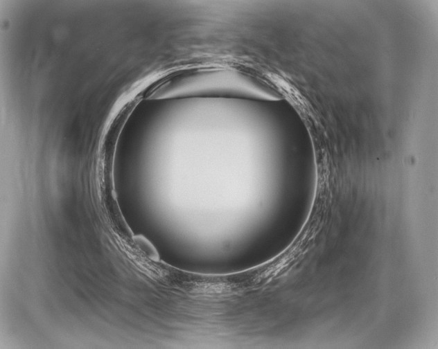 X0000087690342200705041043
