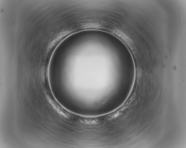 X0000087690345200705041043