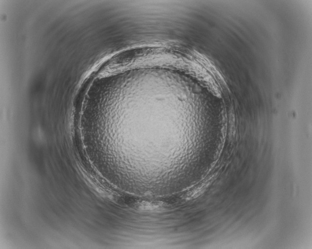 X0000087690346200705041043