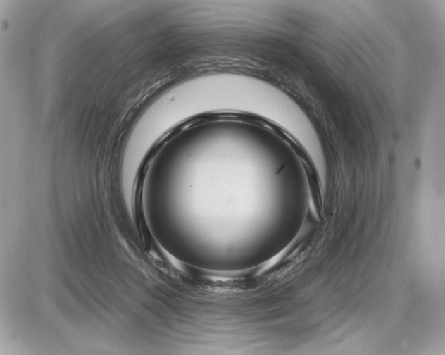 X0000087690360200705041043