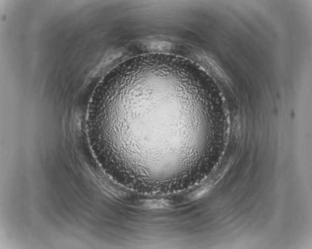 X0000087690363200705041044