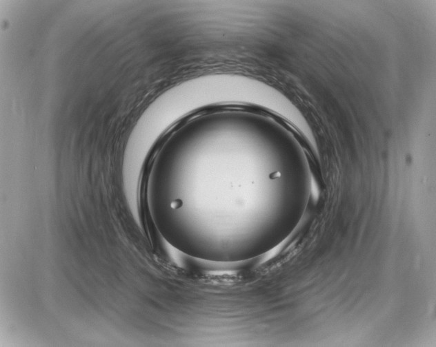 X0000087690368200705041044