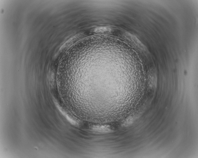 X0000087690375200705041044