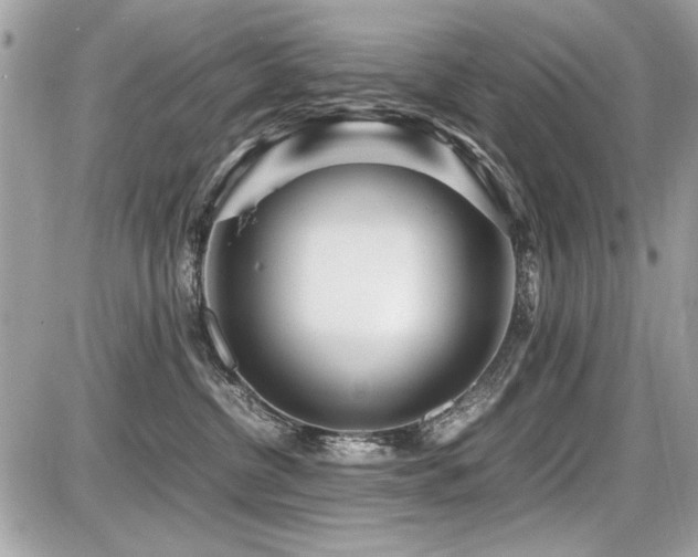 X0000087690380200705041044
