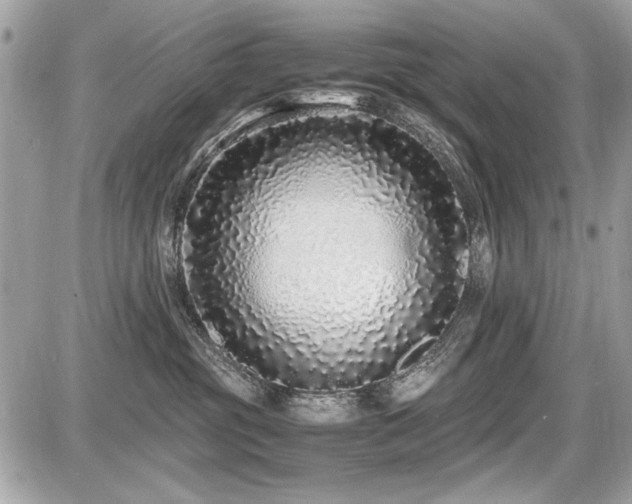 X0000087690381200705041044