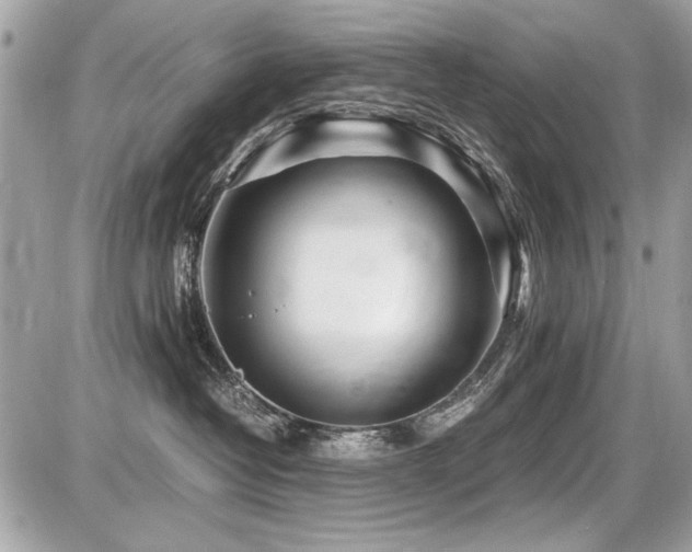 X0000087690382200705041044