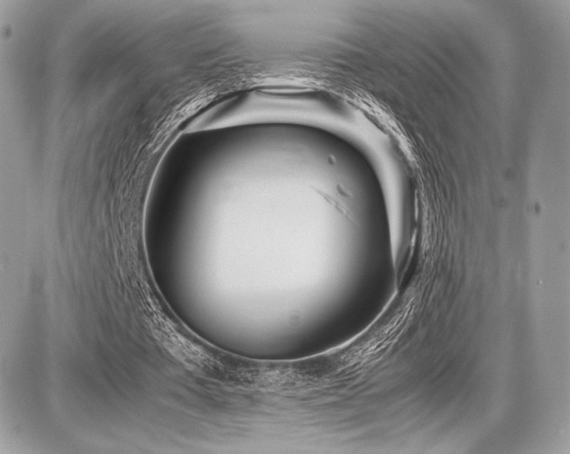 X0000087690385200705041043