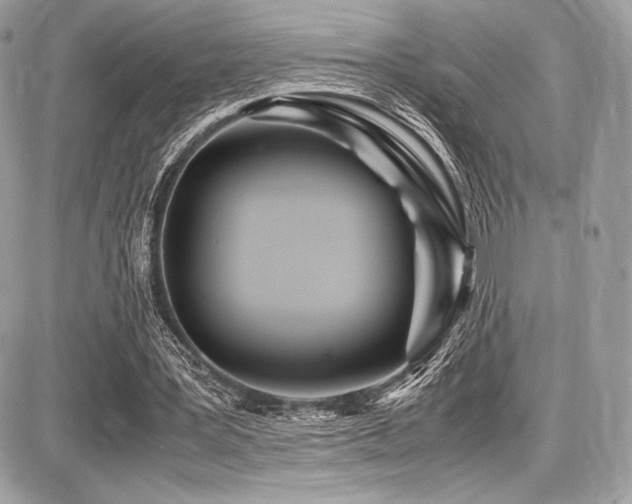 X0000087690387200705041043