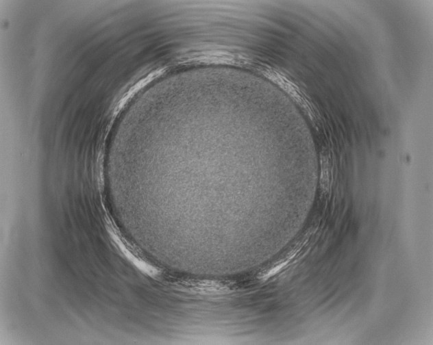 X0000087690390200705041043