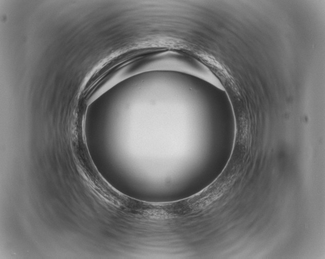 X0000087690392200705041043