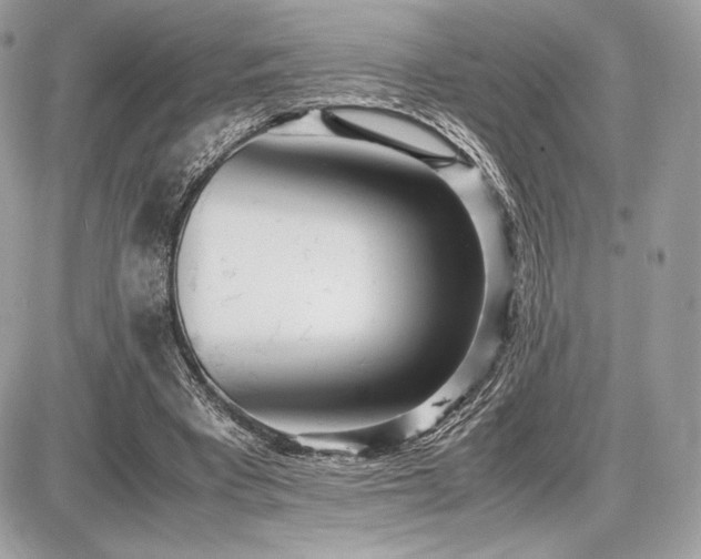 X0000087690393200705041043