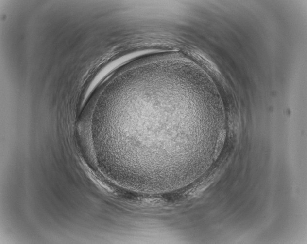 X0000087690401200705041043