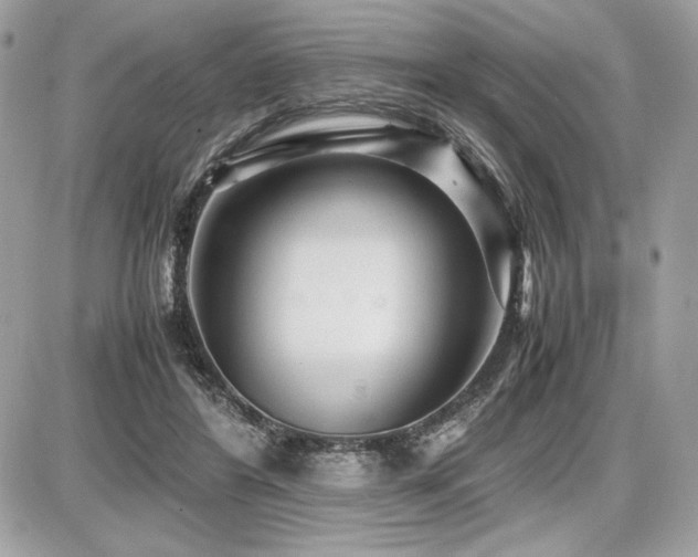 X0000087690404200705041043