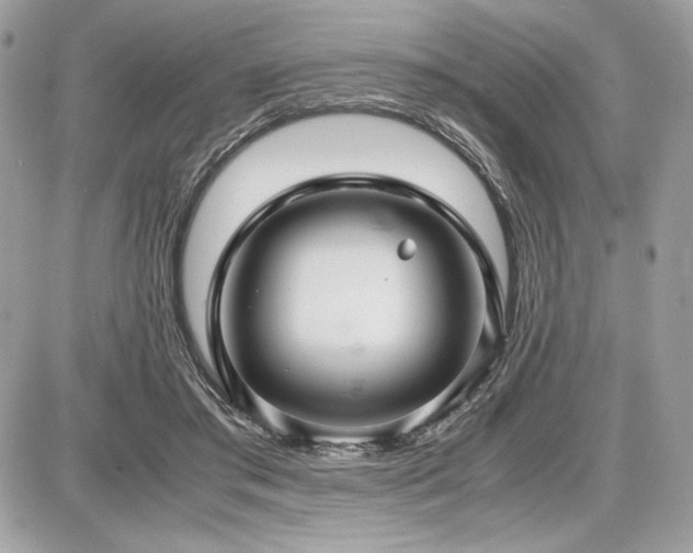 X0000087690405200705041043