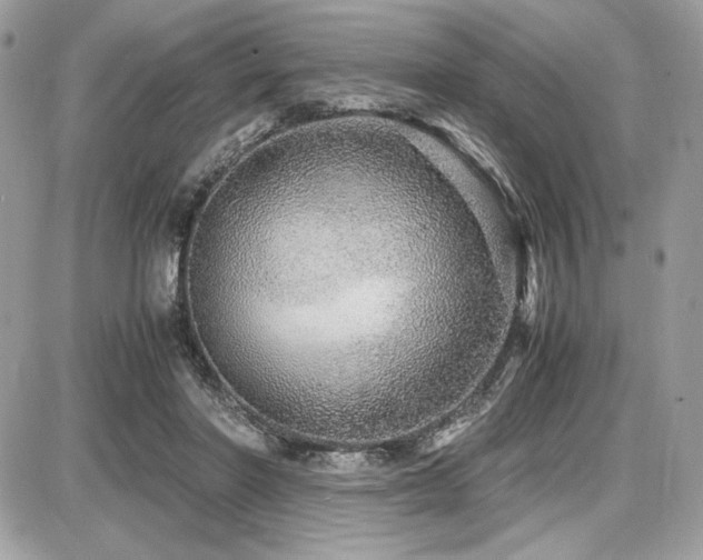 X0000087690406200705041043