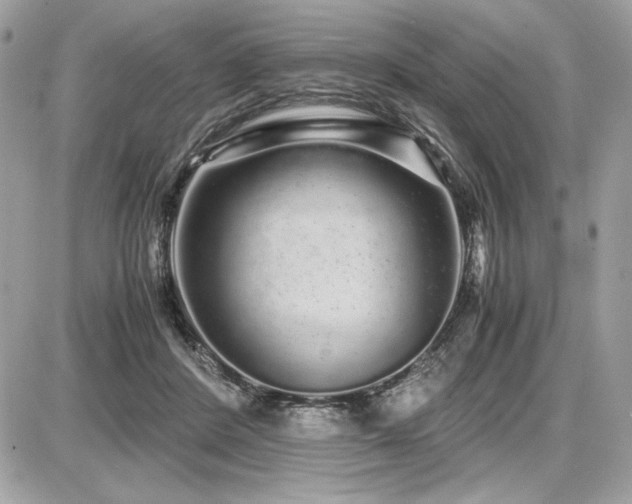 X0000087690408200705041043