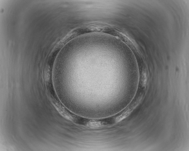 X0000087690413200705041043
