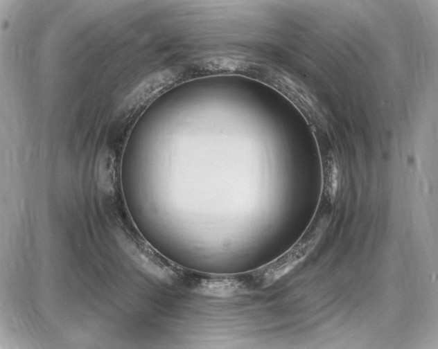 X0000087690414200705041043
