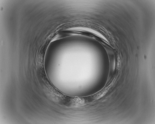 X0000087690421200705041043
