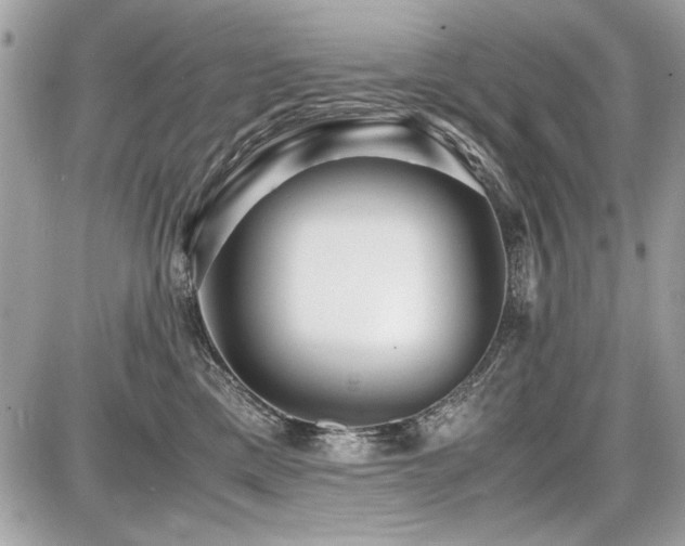 X0000087690425200705041042