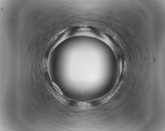 X0000087690429200705041042