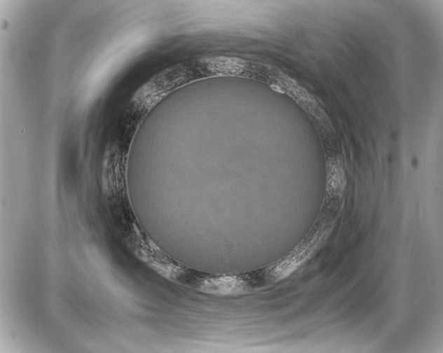 X0000087690431200705041042