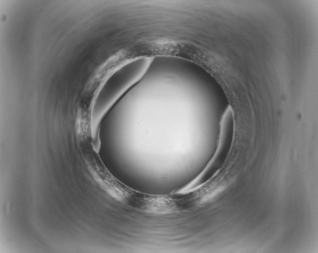 X0000087690432200705041042