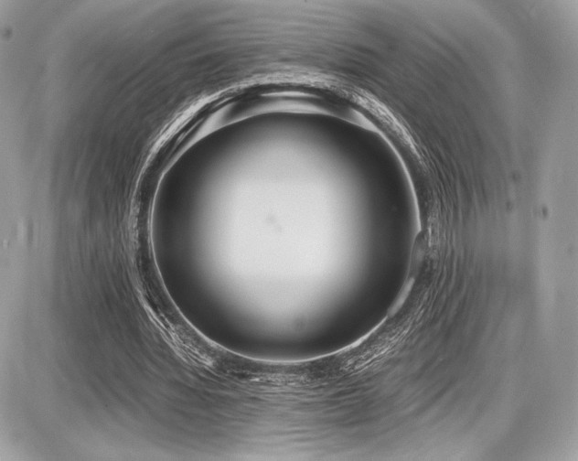 X0000087690436200705041042