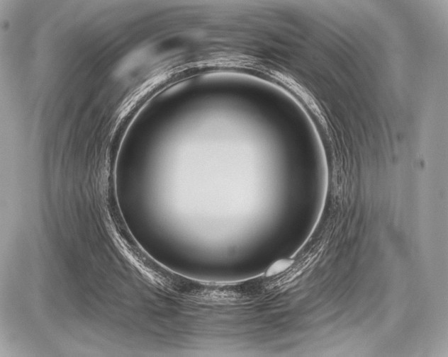 X0000087690437200705041042