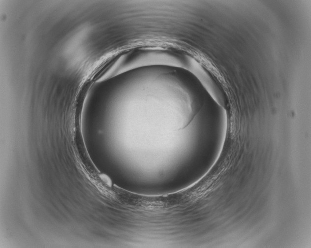 X0000087690438200705041042